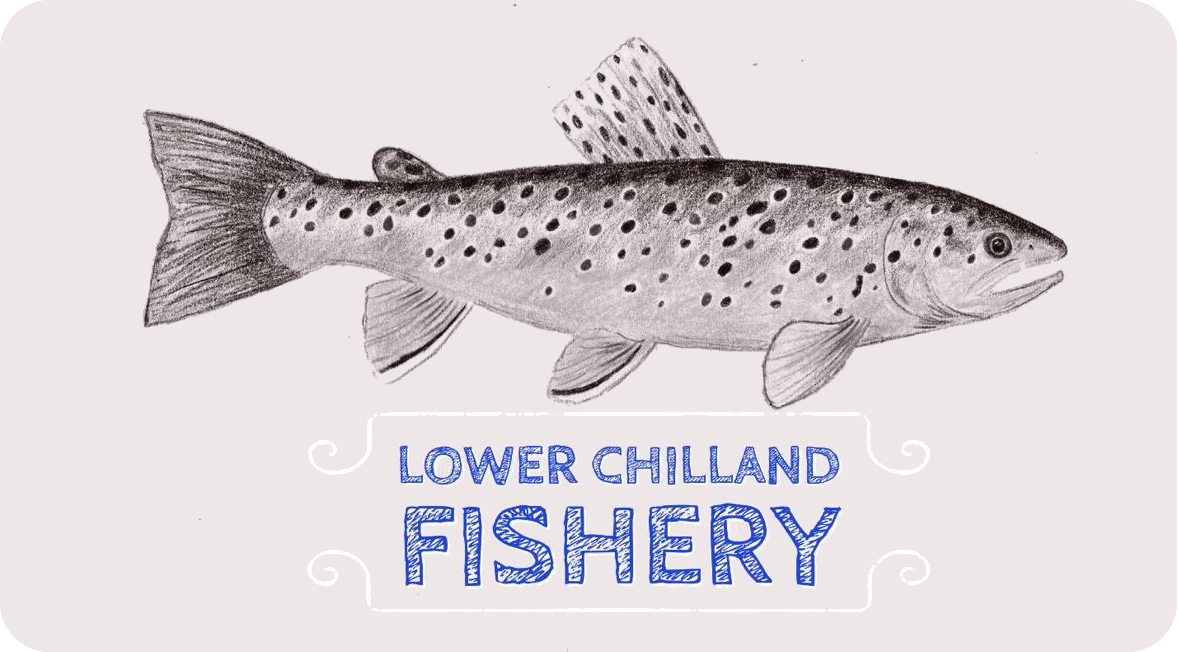 Lower Chilland Fishery